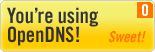 OpenDNS