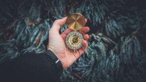 Finding Excellence: Navigating Digital Transformation